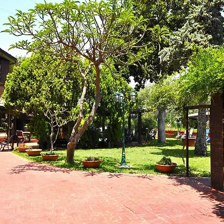 Small Paradise