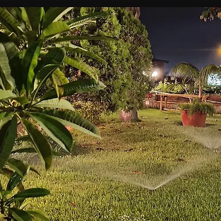 Small Paradise *