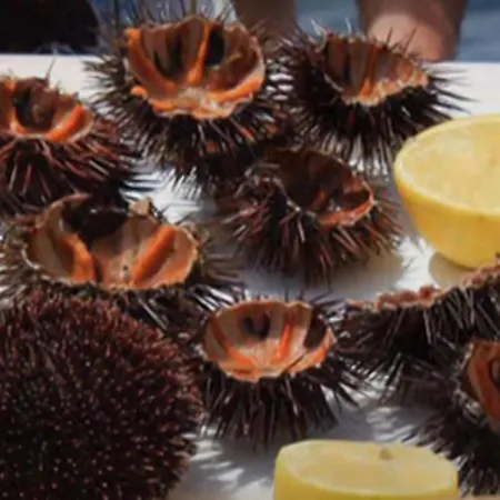 Small Paradise 民宿 巴勒莫