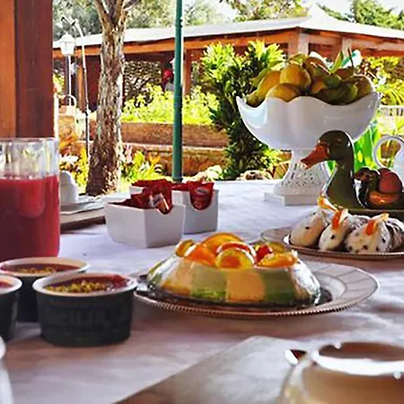 民宿 Small Paradise 巴勒莫