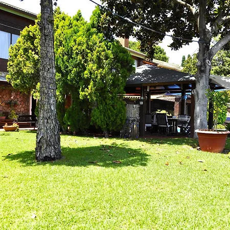 Small Paradise 民宿 巴勒莫